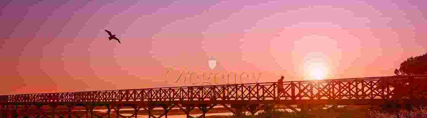 regencyluxuryvilla