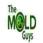 themoldguys11