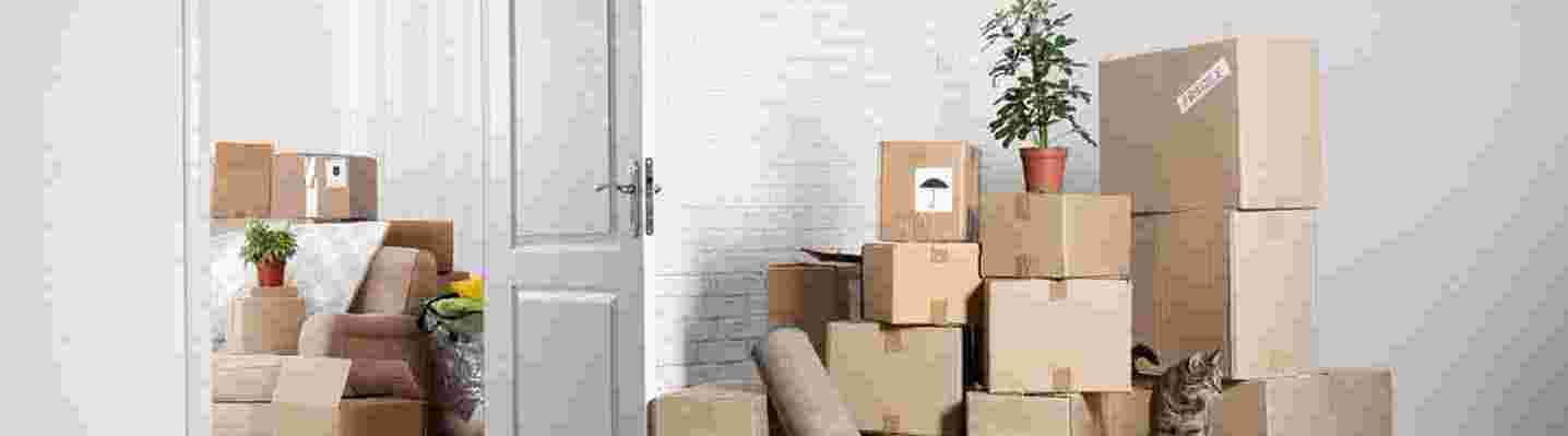 moverandpackersdubai