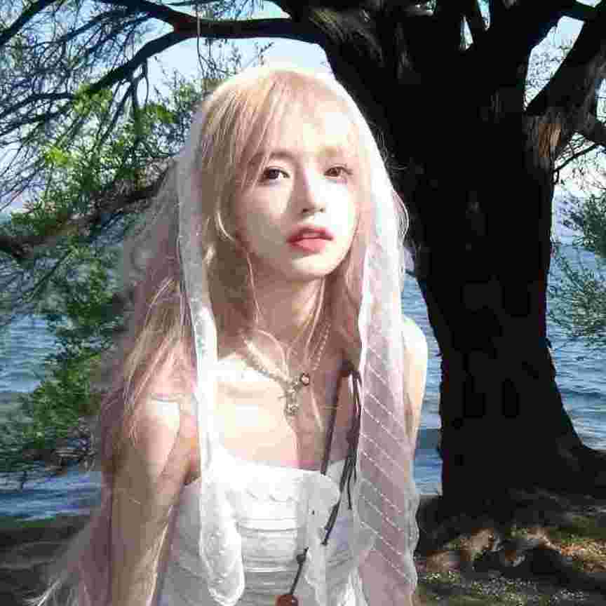 zhusi