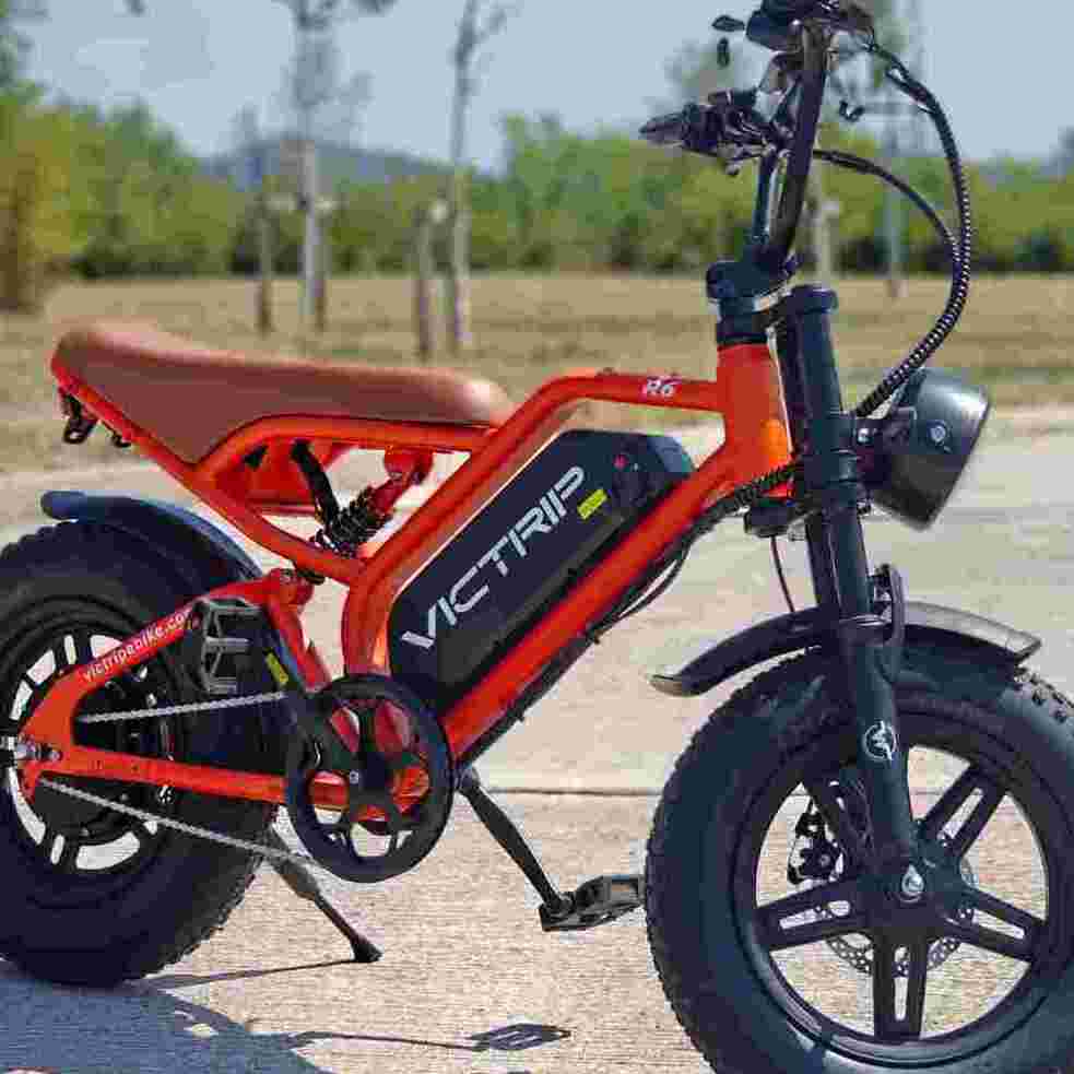 VICTRIPEBike