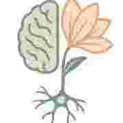 tulsihealthcare