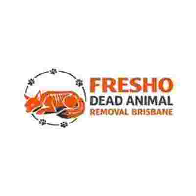 freshodeadanimalremovalbrisbane